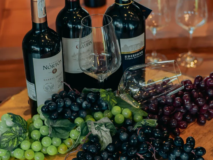 rs=w_740,h_556,cg_true (1)