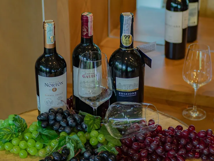 rs=w_740,h_556,cg_true